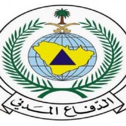 سلامتك يالرياض