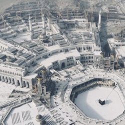 كورونا والسؤال المهم