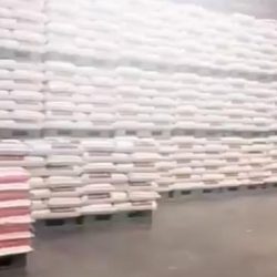 تجربة الجرعة الأولى من لقاح ضد فيروس كورونا المستجد على متبرعين غير حاملين للمرض