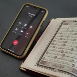 محافظ ورئيس بلدية دومة الجندل يقومون بجولات تفتيشية