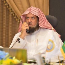 الا الوطن يامن تحبون الوطن