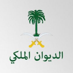 العائدون من الظلام