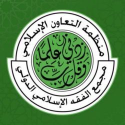 الكاميرا بين عازف ورسام “برؤى الفن”