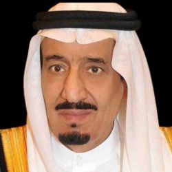 قوة المهمات والواجبات الخاصة وشرطة فيفا تضبط أعداد كبيرة من المتسللين والمخالفين في حملة أمنية بفيفاء