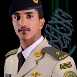 الملك عبدالله للدفاع الجوي كلية تخصصات كلية