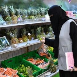 الدفاع المدني بجازان إبطال مفعول لغمٍ جرفته السيول من الأراضي اليمنية إلى المنطقة