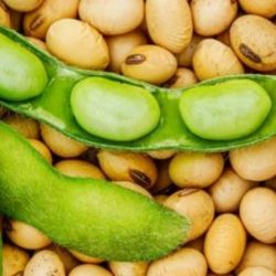 “الخطوط السعودية” توضح حقيقة استئناف الرحلات في يونيو المقبل