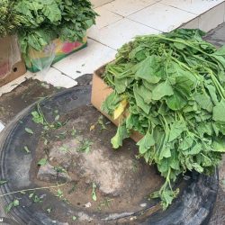 وفاة رجل الأعمال صالح كامل