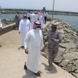 محمد جميح: الإنتقالي والحوثي مشروعان متخادمان والإنفصال ضياع مكتسبات!!