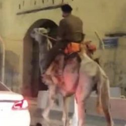 الشاعر “داهية المرخان” يفتح صدرة لصحيفة “خبر عاجل” في حوار خاص