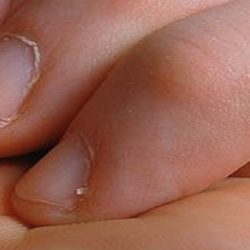 مدير مكتب وزارة الرياضة بالجوف يتوّج الفائزين في بطولة المنطقة للشطرنج