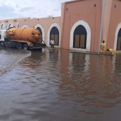 بث الترجمة الفورية لخطبة عرفة على قناتي القرآن الكريم والسنة النبوية بالإنجليزية والفرنسية