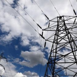 أمير القصيم يوجه القطاعات بتوفير المواقع للباعة المتجولين