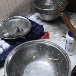 خبر عاجل تهنئ الكاتبة سمية الجابري