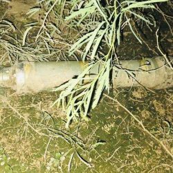 “الدفاع المدني بجازان” سقوط مقذوف عسكري أطلقته المليشيا الحوثية على إحدى القرى الحدودية دون إصابات أو وفيات