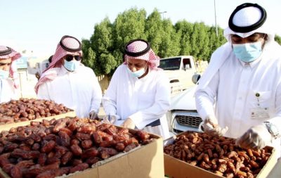 بيئة “ تربة ” تشارك في مهرجان التمور الثالث