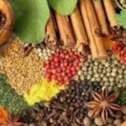 إغلاق 4 منشآت غذائية غير ملتزمة بالبروتوكولات الوقائية من فيروس كورونا بمكة