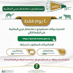 رئيس غرفة مكة: القطاع الخاص تلقى دعما مقدرا سيسهم في سد الكثير من الثغرات