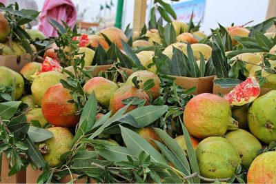 محافظ القرى يقف على استعدادات مهرجان الرمان الوطني في نسخته “التاسعة”