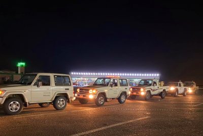 جاهزية ٩٠ فرقة متخصصة لمكافحة الجراد القادم من الجنوب