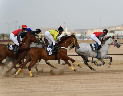 أكثر من 45 جواد يتنافسون غداً الثلاثاء على ميدان الفروسية بمحافظة العقيق