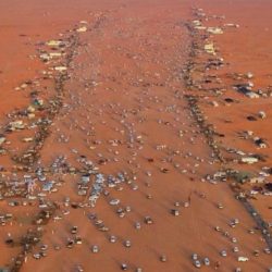 الجرباء يهنىء الملك وولي العهد بمناسبة اليوم الوطني الـ ٩٠
