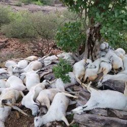 “وزير التعليم” يكشف سر نجاح التعليم “عن بعد” في المملكة رغم رهان البعض على فشله