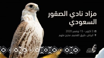 مزاد نادي الصقور” تحدٍ غير مسبوق لتنظيم البيع وحماية الصقارين من السوق السوداء