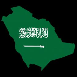 فرحة الوطن ( 90 )