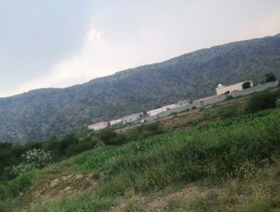 قرية أبو الغرفة بالعارضة ضعف بالنت على الرغم من وجود برج اتصالات
