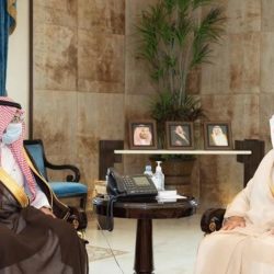 صقران بأكثر من ربع مليون ريال في مزاد نادي الصقور السعودي