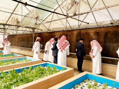 الجامعات السعودية و”كاكست” تزور مشروع الوحدة البحثية للزراعة بمياه البحر