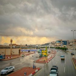 بعد40عاما من العطاء الإعلامي..المدينة تودع المذيع التلفزيوني أسعد القبلي