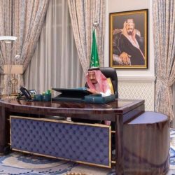 مجلس الوزراء: صرف نصف مليون لذوي المتوفى بكورونا من العاملين بالقطاع الصحي