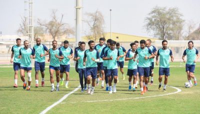 النموذجي يطير للباحة