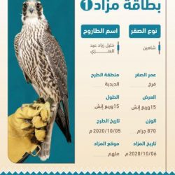 السديس يوجه بتسيير شاحنتين محملتين بماء زمزم المبارك لأبطالنا الأشاوس بالحد الجنوبي