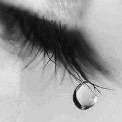 تنبيه وشكر واعتذار