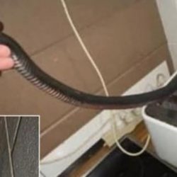 صحة جدة ترفع جاهزيتها لمواجهة الأمطار ب 30 فرقة طبية ميدانية