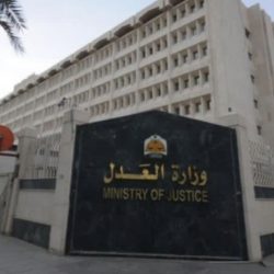 برعاية إفريقية جولة جديدة من مفاوضات سد النهضة تنطلق اليوم