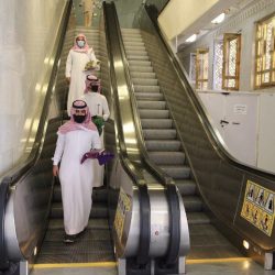 الجمعية التعاونية للثروة الحيوانية والأعلاف تشدد على ضرورة رفع الناتج المحلي للحوم