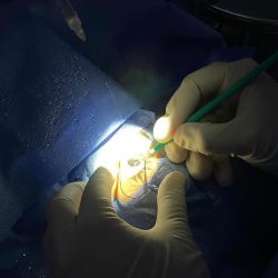 أمير الباحة يستقبل مدير فرع بنك التنمية الاجتماعية المعين حديثًا بالمنطقة أمير الباحة يستقبل مدير فرع بنك التنمية الاجتماعية المعين حديثًا بالمنطقة