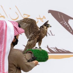 سهرة فنية تشكيلية مع عبدالله الرشيد
