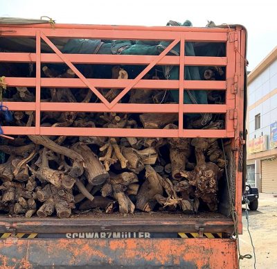 ضبط 10 طن من الحطب المحلي في الجموم
