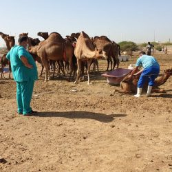 الربيعة يتفقد سير العمل في صحة مكة المكرمة
