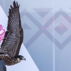 “الطويرقي” يحول إحدى الغرف بمنزله إلى فصل دراسي عن بعد