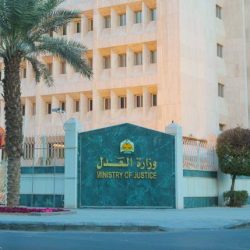 انطلاق الأشواط النهائية بمهرجان الصقور بمشاركة السعوديين والدوليين