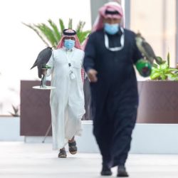 عذاري” صقارة سعودية تشارك بـ “العنيد” في مهرجان الملك عبدالعزيز