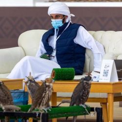 الرسوم والنقوش الصخرية في الدوادمي تُخلّد ذكرى الرحلات والحروب منذ العصر الحجري