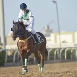 “سمو أمير منطقة جازان”يعزي العصيمي في وفاة والدته