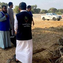 20 جهاز بخار جاف لتعقيم المسجد الحرام